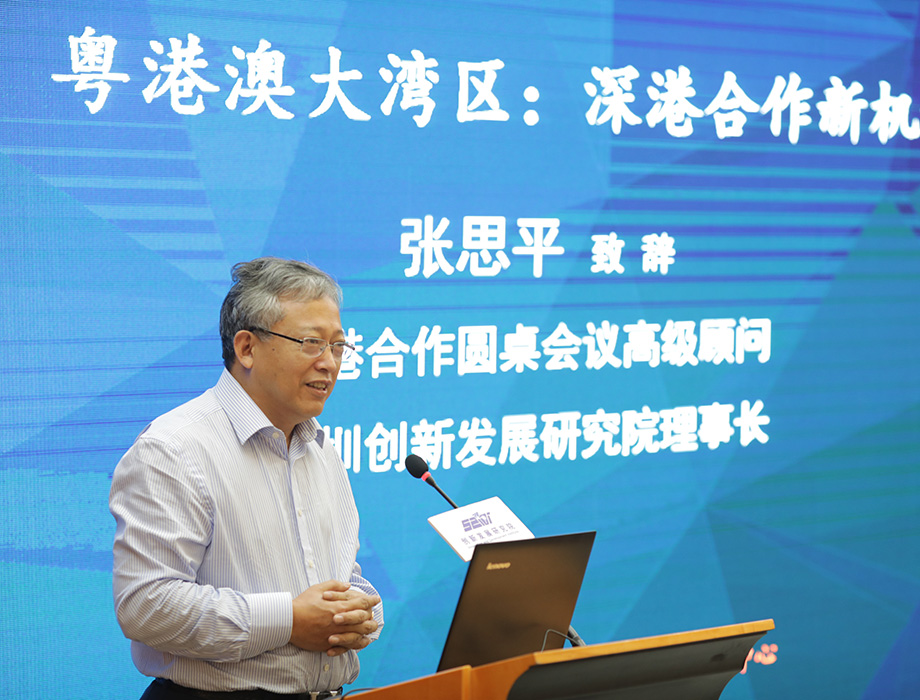 中國經(jīng)濟(jì)體制改革基金會張思平：在粵港澳大灣區(qū)再造幾個香港                                                                  